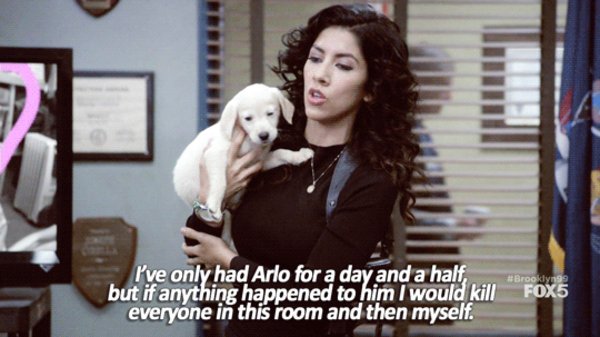 I've Only Had Arlo For A Day And A Half | Know Your Meme