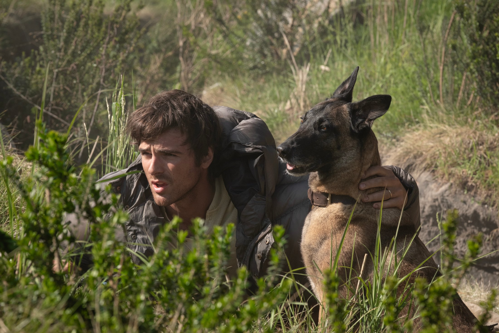 the dog stars